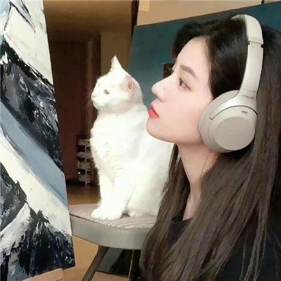 奇客和冲的动画大电影